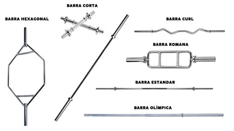 Ilustración de diferentes tipos de barras de apoyo en un baño accesible