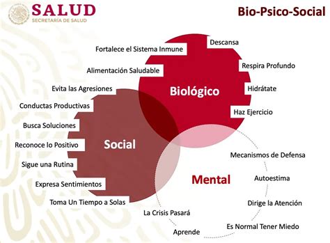 diagrama que ilustre las dimensiones del sufrimiento (físico, psicológico, social, espiritual) y los equipos interdisciplinarios involucrados