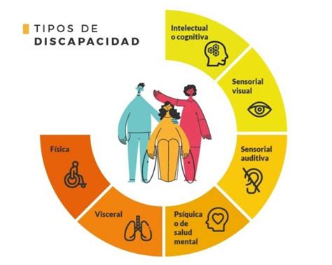 Infografía que muestra las dos clasificaciones de discapacidad motora: físico-periférica y neurológica.