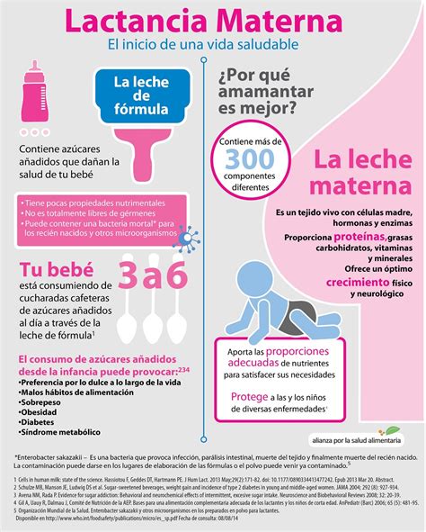infografía sobre los derechos de lactancia materna y permisos de alimentación para trabajadores