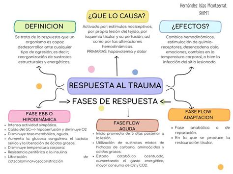 Esquema de las fases de respuesta al trauma y su impacto psicosocial