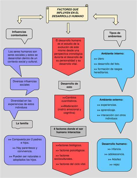 Mapa de factores que influyen en la calidad de la atención al adulto mayor en APS