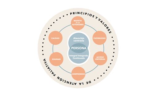 Infografía: Componentes clave de la atención paliativa pediátrica.