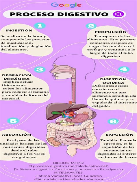 Infografía paso a paso sobre el proceso de solicitud de pensión