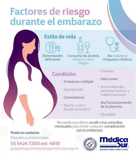 Infografía sobre los factores de riesgo durante el embarazo y el desarrollo temprano.