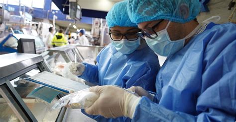 Fotografía de un inspector de salud realizando una fiscalización en un centro de cuidado