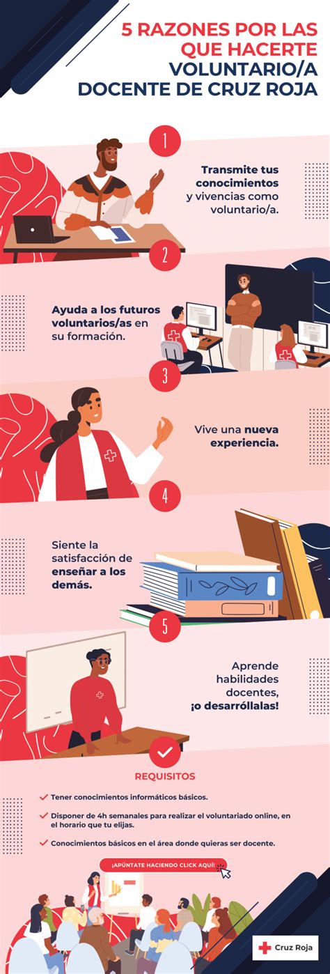 Infografía: Perfil y labor de docentes voluntarios mayores