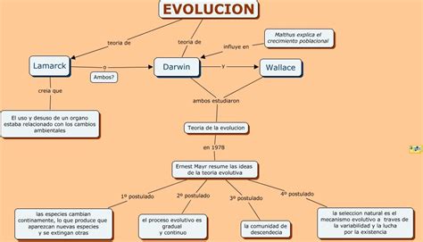 Esquema sobre la evolución de la terminología sobre discapacidad