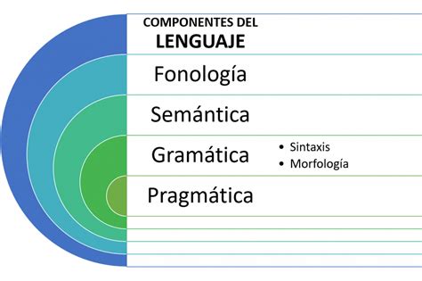 esquema de los componentes del lenguaje (fonético, léxico-semántico, gramatical, pragmático)