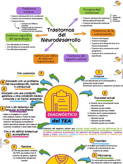 Esquema de las áreas afectadas en los trastornos del neurodesarrollo (cognitiva, social, adaptativa)