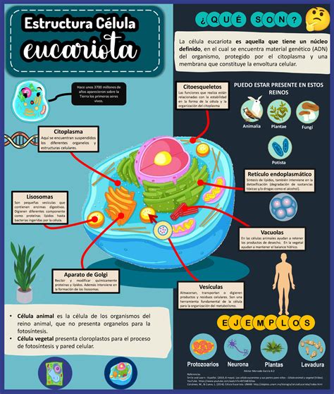 Infografía o esquema de la estructura y funciones de la Caja de Retiros y Previsión Social de Ferrocarriles del Estado