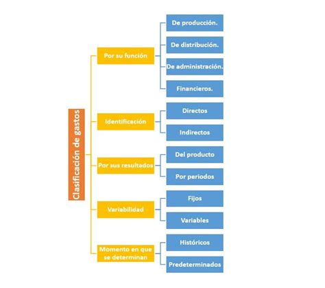 Esquema de la clasificación de los gastos de los hijos en ordinarios y extraordinarios