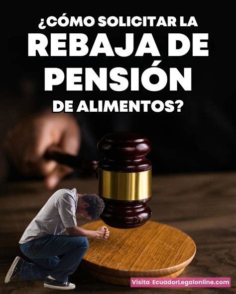 Esquema: Requisitos clave para la rebaja de pensión de alimentos