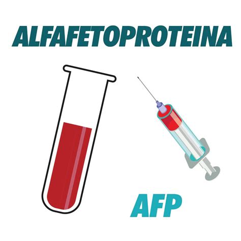 Diagrama que muestra la producción de alfafetoproteína (AFP) en el feto y su paso a la circulación materna