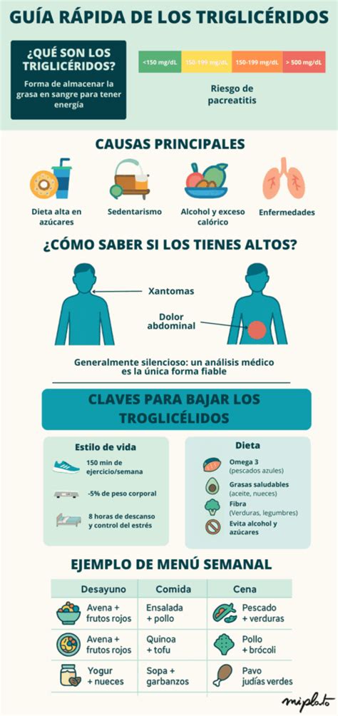Infografía que explica los posibles significados de niveles altos y bajos de AFP durante el embarazo