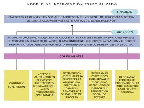 Esquema sobre los pilares de intervención social: prevención, protección y reinserción para jóvenes vulnerables