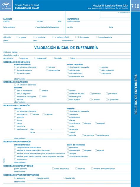 Ejemplo de formulario de valoración con ítems relacionados con diferentes áreas funcionales