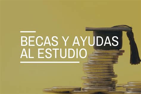 Infografía sobre tipos de becas y ayudas estudiantiles
