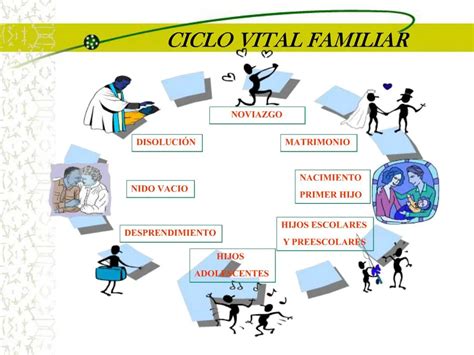 Diagrama del ciclo vital familiar con las diferentes etapas.