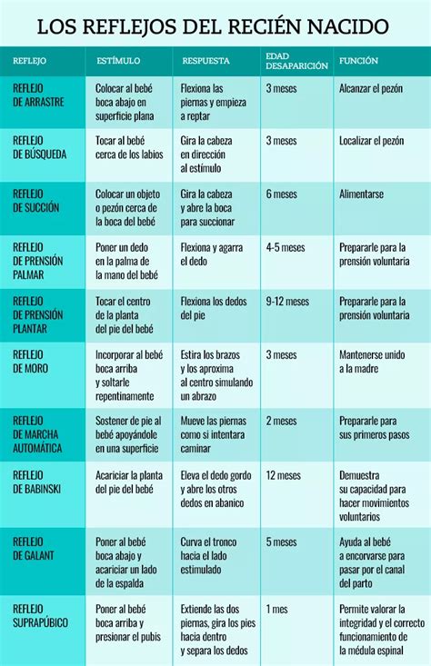 infografía sobre reflejos primitivos en bebés y su posible reaparición en adultos