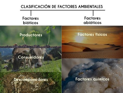 Esquema que ilustra la interacción entre condiciones de salud, factores personales y factores ambientales según el modelo de la OMS