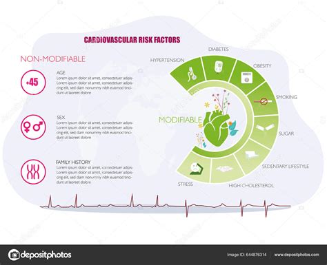 Infografía detallando los factores de riesgo modificables y no modificables para el ACV.