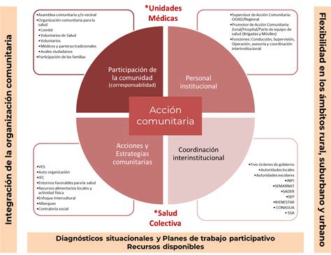 Gráfico que ilustra las cuatro áreas de enfoque de la OPS para la inclusión de personas con discapacidad en la salud.
