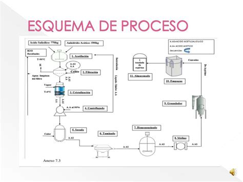 Esquema explicativo del proceso de solicitud del certificado y la tarjeta de discapacidad en los Centros Base