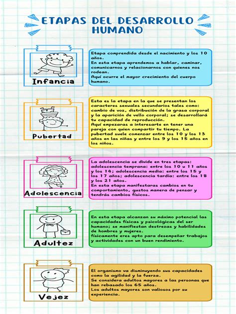 Infografía mostrando las etapas de desarrollo humano por rangos de edad