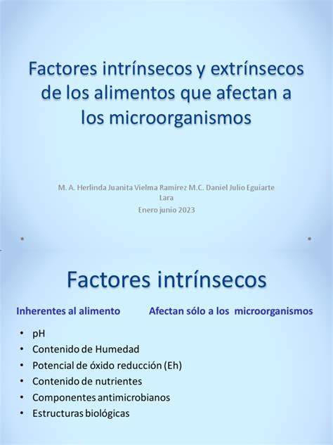 esquema de los factores intrínsecos, extrínsecos y situacionales que causan caídas en adultos mayores