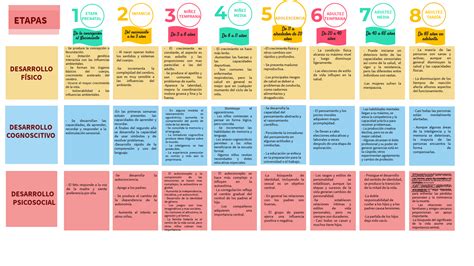 Esquema de las diferentes etapas y tipos de rehabilitación física para personas con discapacidad