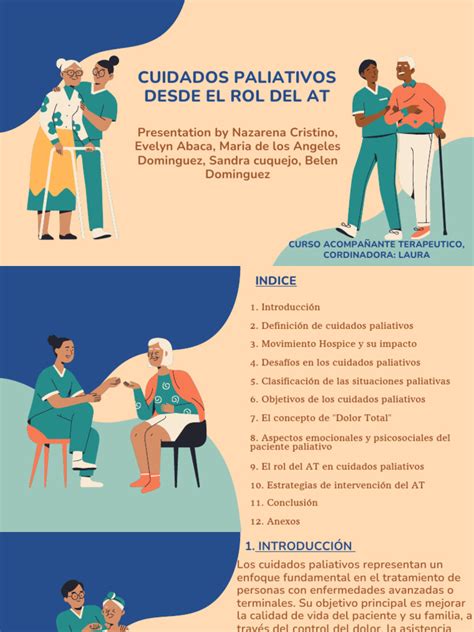 Esquema sobre la importancia de la formación en cuidados paliativos y el impacto de la Ley de Cuidados Paliativos Universales en Chile