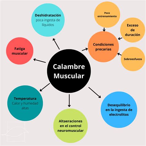 Infografía: Causas comunes de calambres musculares