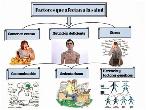 Esquema de factores que afectan la salud mental en la vejez