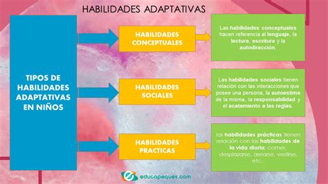 Figura: Esquema de áreas de habilidades adaptativas y áreas conceptuales, social y práctica