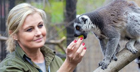 Esquema de las diferentes responsabilidades de un cuidador de zoológico
