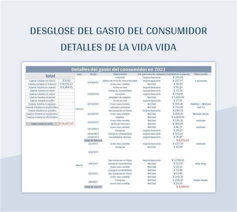 Tabla o infografía: desglose de gastos mensuales típicos de un NNA