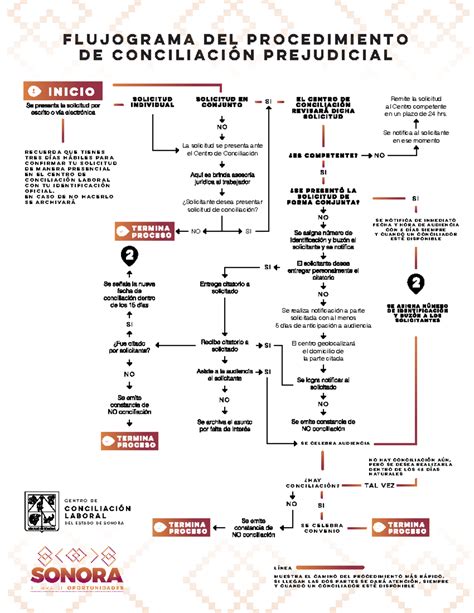 Flujograma del procedimiento de interdicción judicial