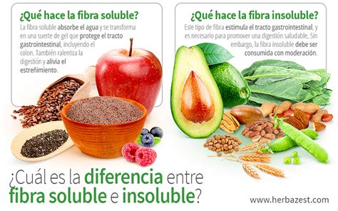 Infografía comparativa de la acción de la fibra soluble e insoluble en el tracto digestivo