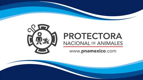 Logotipo de la Asociación Protectora de Animales de Missouri (APA)