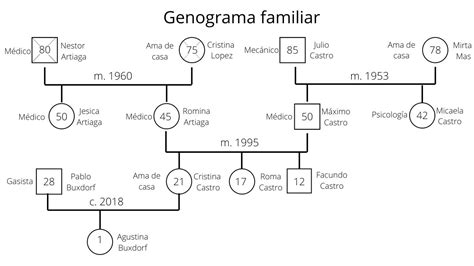 Diagrama: Modelos de Estructura Familiar Ampliada