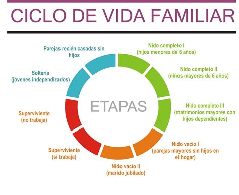 Esquema: Ciclo de Vida Familiar y Puntos de Intervención