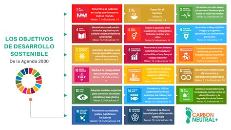 Infografía: Metas de los Objetivos de Desarrollo Sostenible relacionadas con la discapacidad