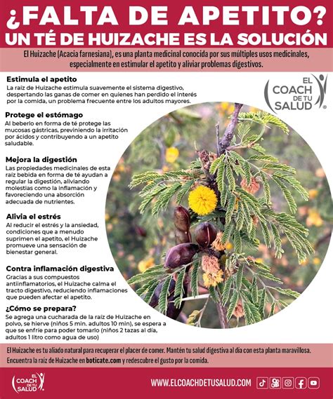 infografía sobre consejos nutricionales para estimular el apetito en personas mayores