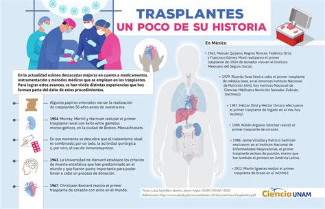 Infografía sobre el proceso de trasplante de órganos.