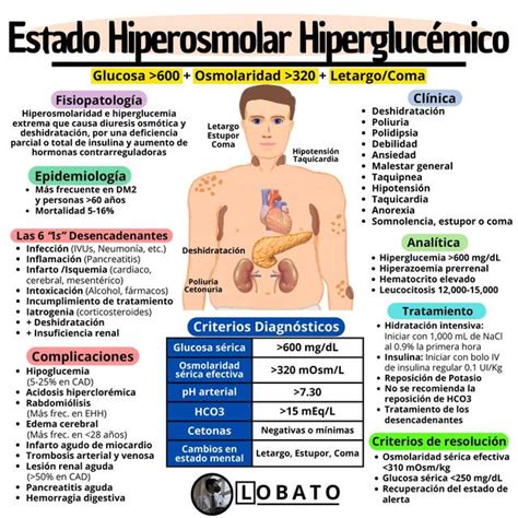 Infografía detallando los componentes del Síndrome Hiperglucémico Hiperosmolar (SHH)