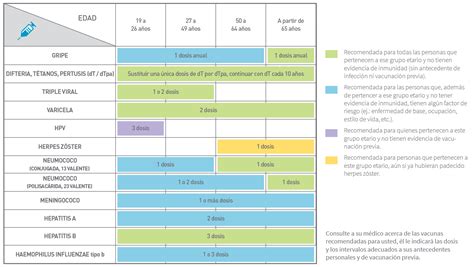 Infografía: Calendario de vacunación recomendado para adultos mayores