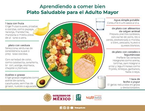 Pirámide alimenticia o plato saludable para adultos mayores