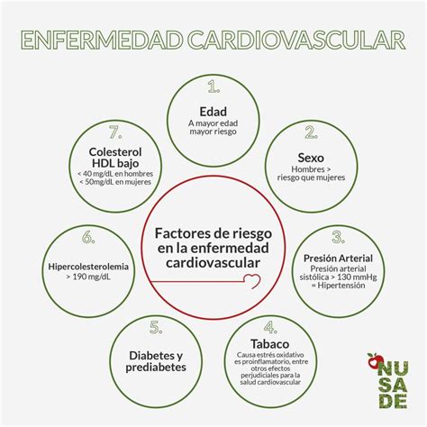 Infografía mostrando los principales factores de riesgo de la insuficiencia cardíaca en personas mayores.