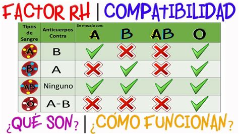 Esquema de compatibilidad de beneficios previsionales